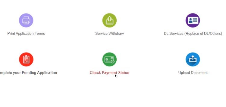 Check payment status