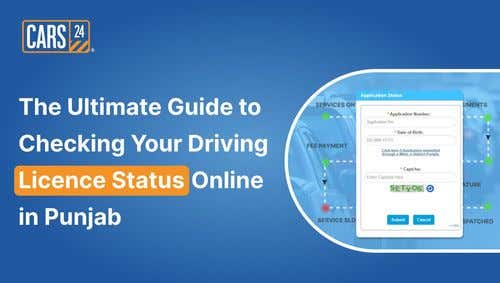 The Ultimate Guide to Checking Your Driving Licence Status Online in Punjab